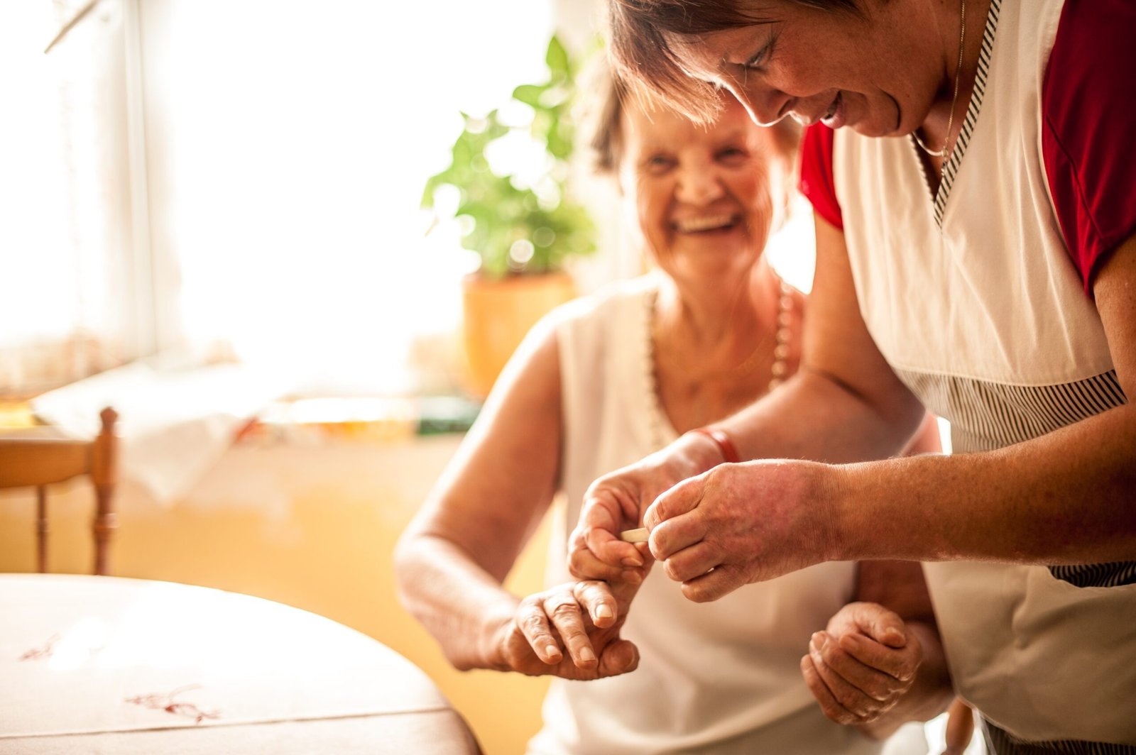 Home Care Services Elderly Hygiene
